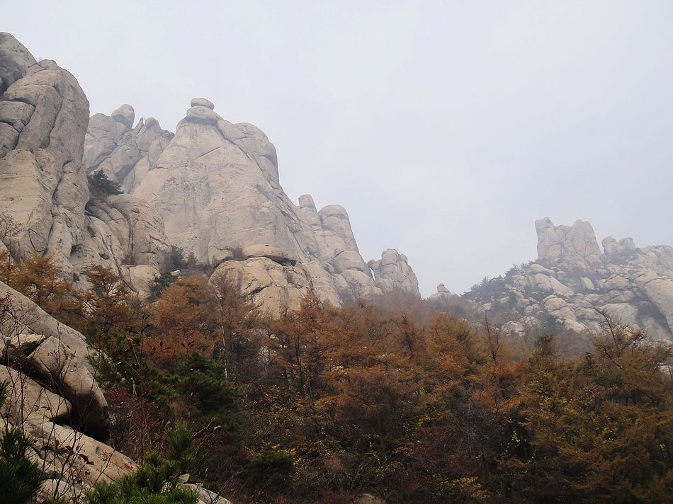 DSC07074.jpg