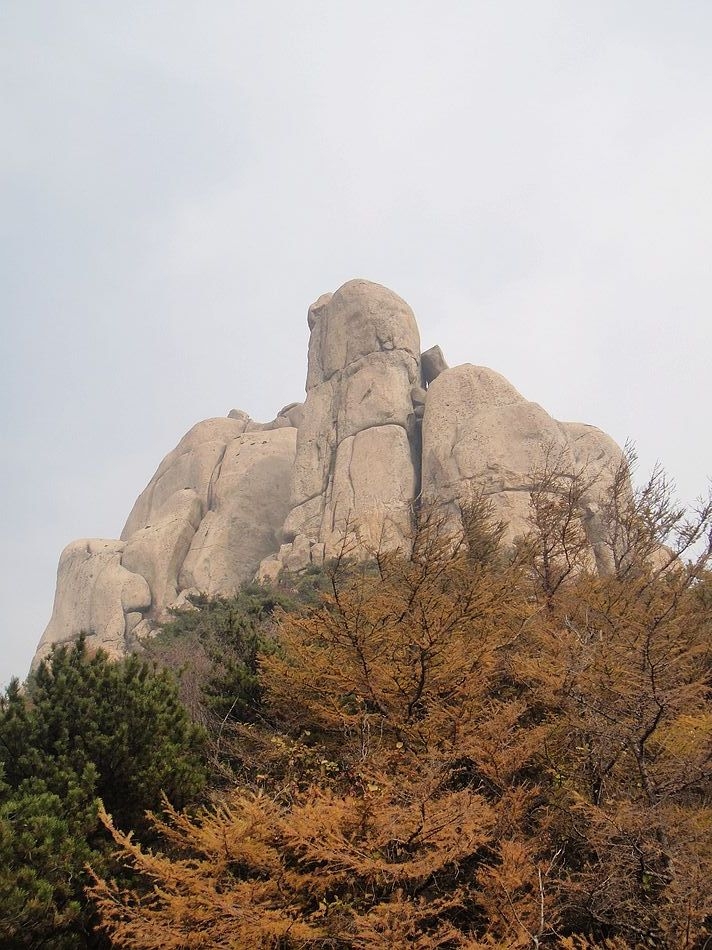 DSC07084.jpg