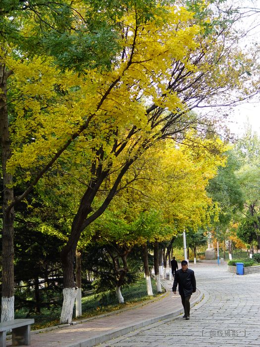 DSC08229-1.jpg
