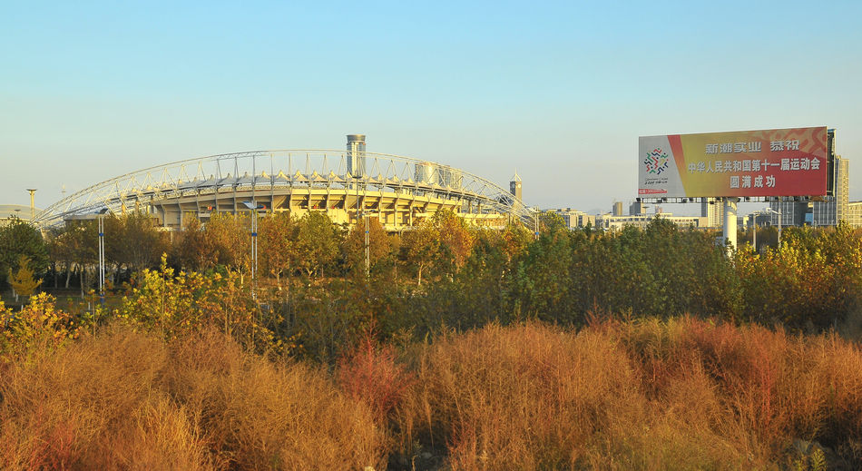DSC_8453.jpg