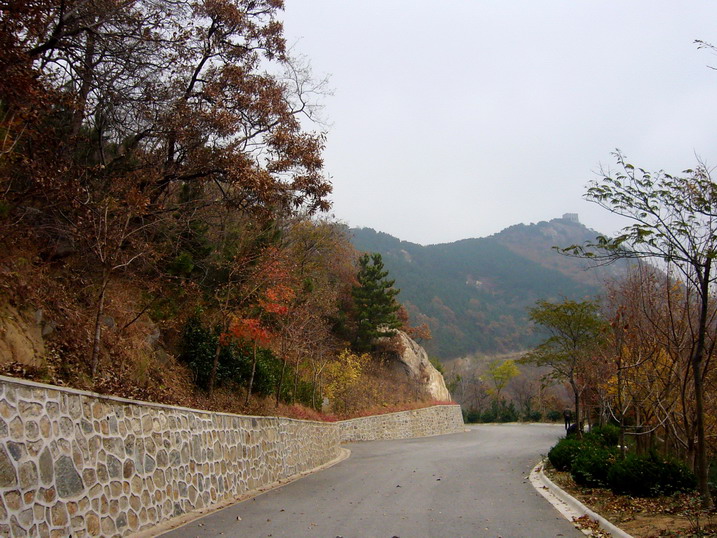 P1190587_缩小大小.JPG