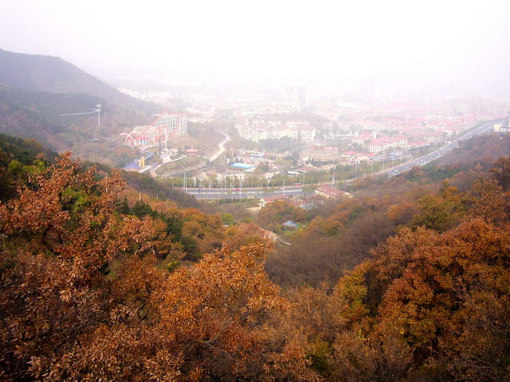 P1190499_缩小大小.JPG