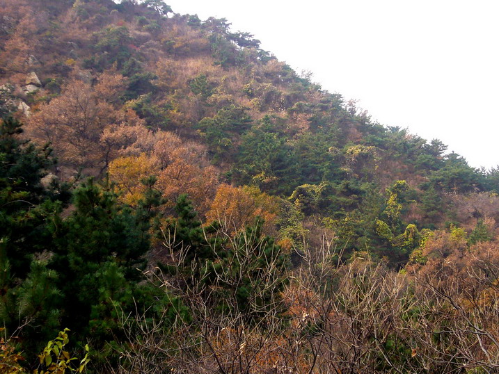 P1190500_缩小大小.JPG