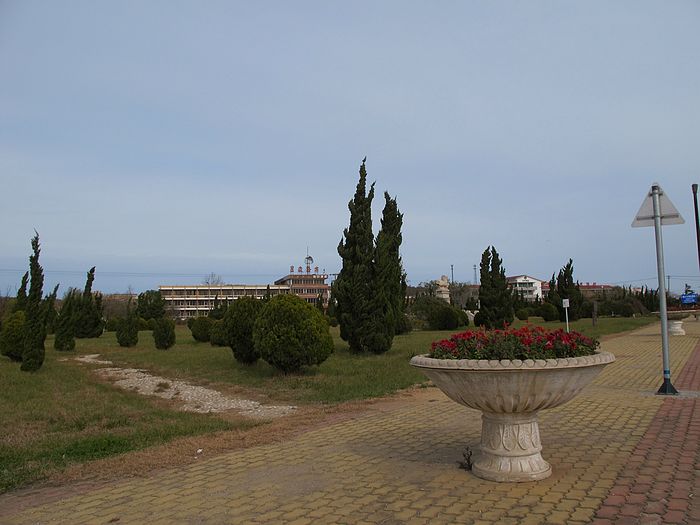 nEO_IMG_IMG_0260.jpg