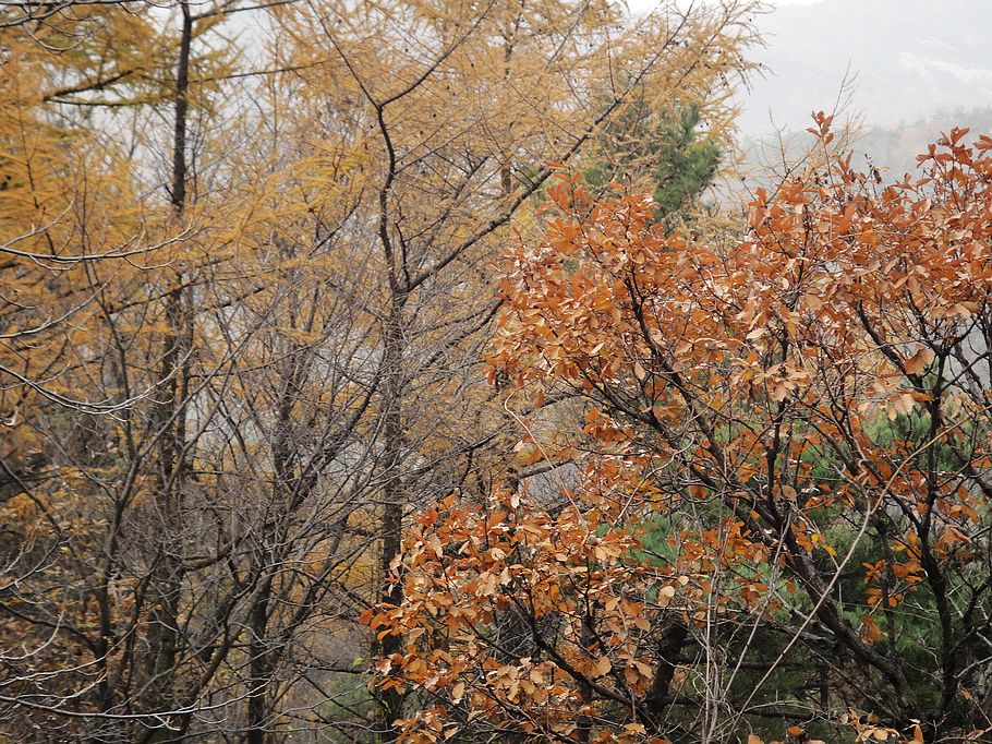 DSC07369.jpg