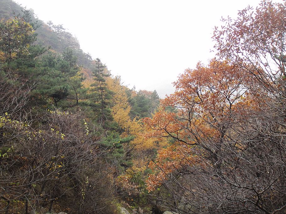 DSC07363.jpg