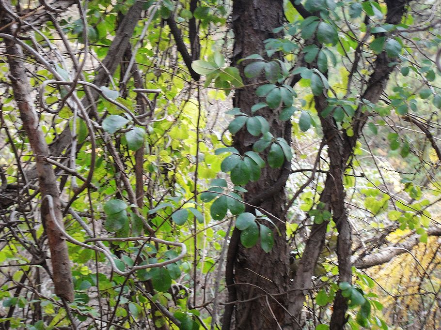 DSC07373.jpg