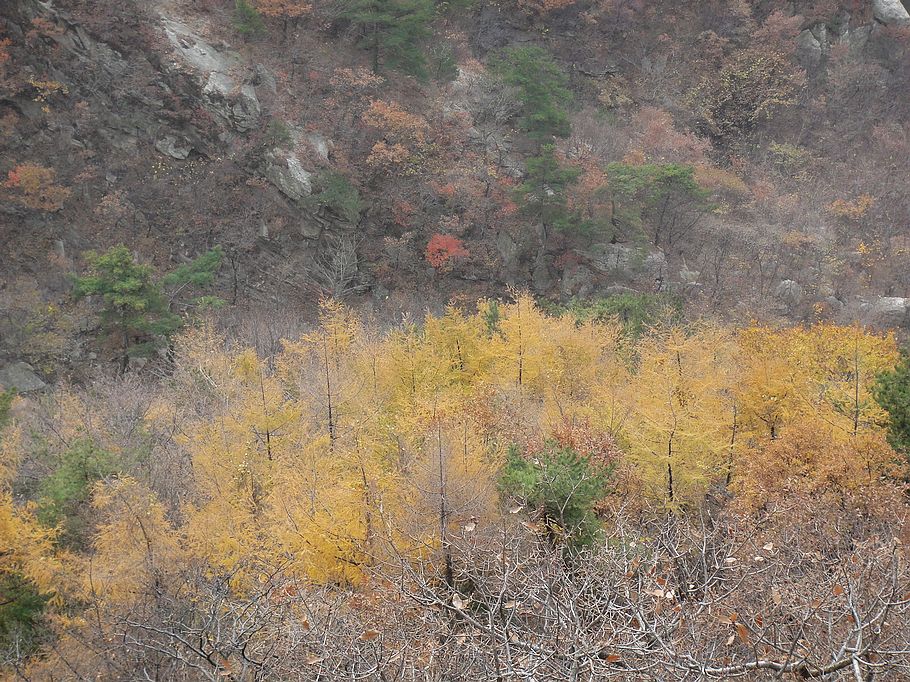 DSC07377.jpg