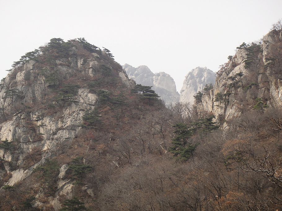 DSC07400.jpg
