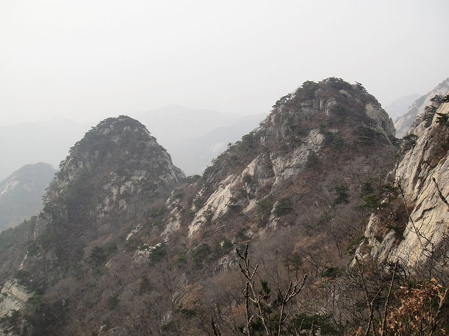 DSC07402.jpg