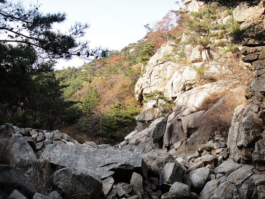 DSC07439.jpg