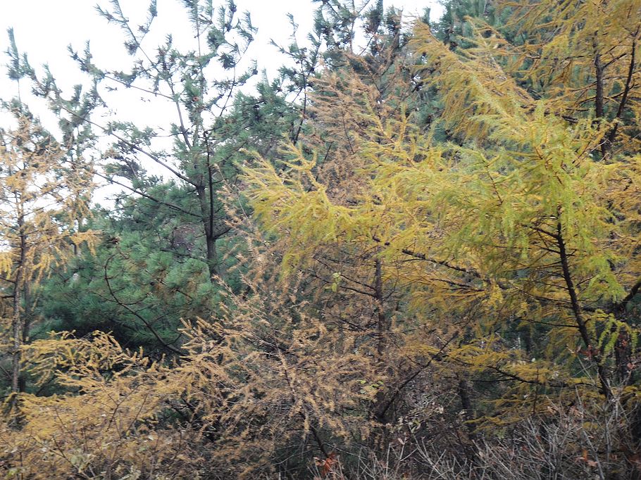 DSC07447.jpg