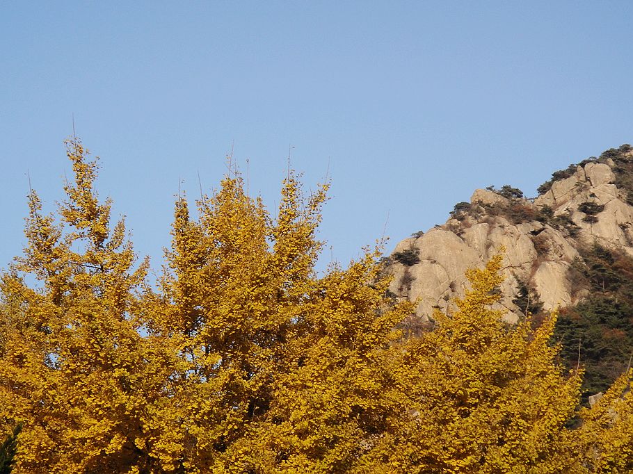 DSC07473.jpg