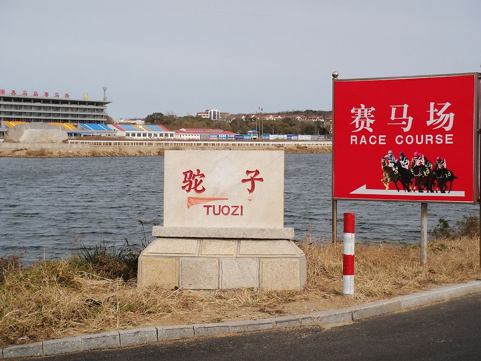 DSC07512.jpg