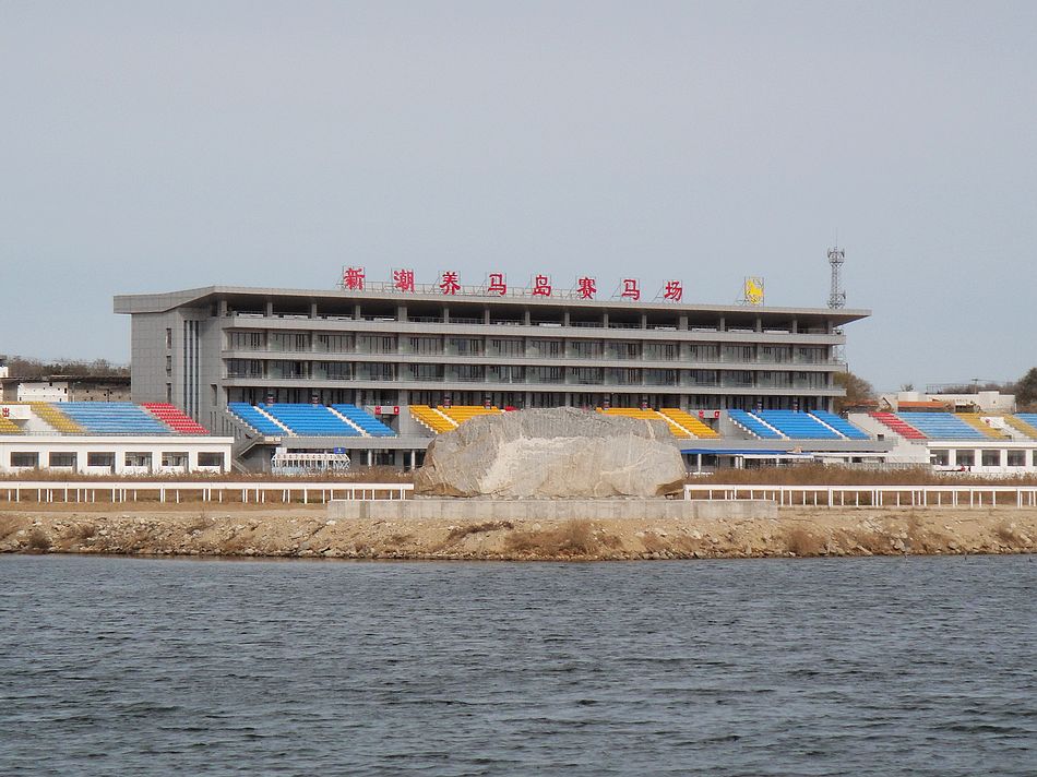 DSC07513.jpg