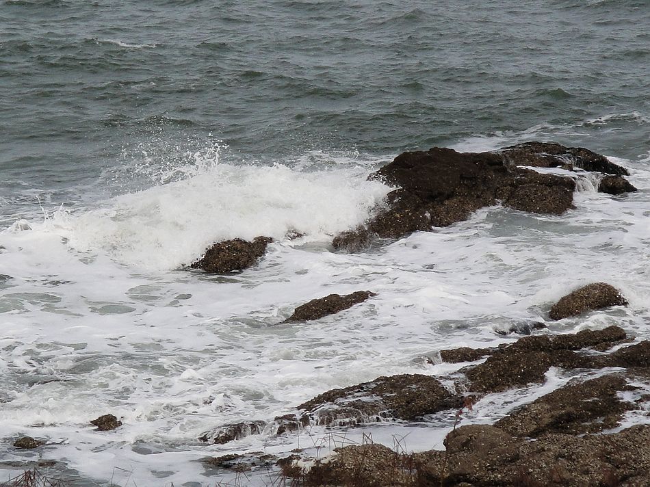 DSC07557.jpg