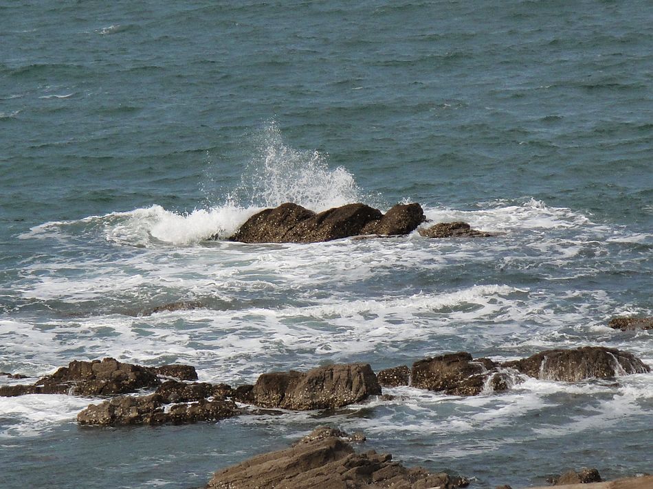 DSC07588.jpg