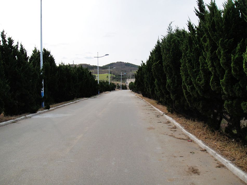 DSC07589.jpg