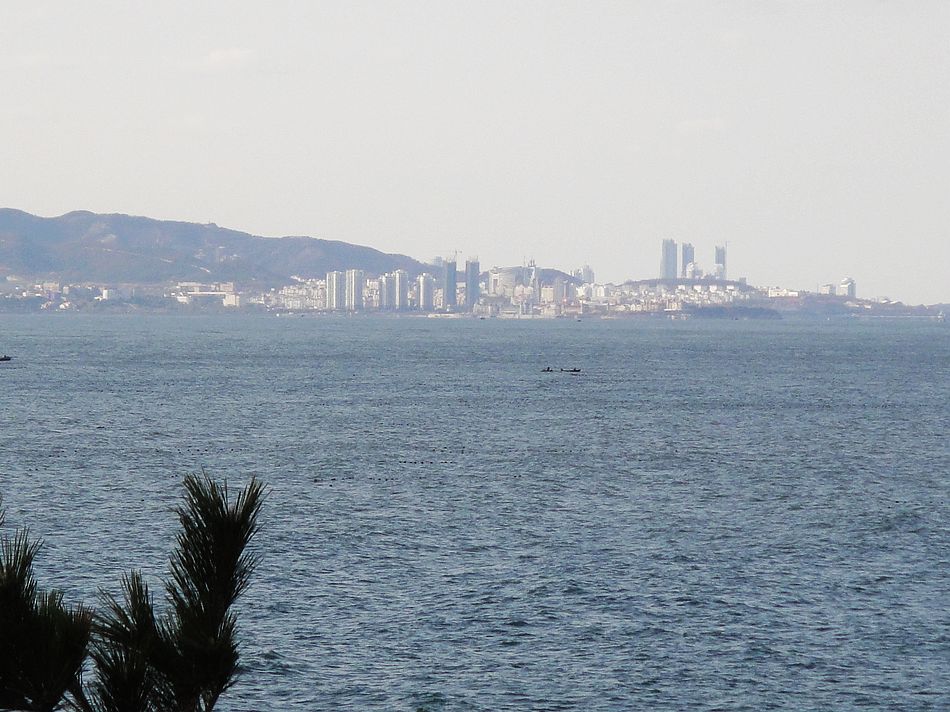 DSC07602.jpg