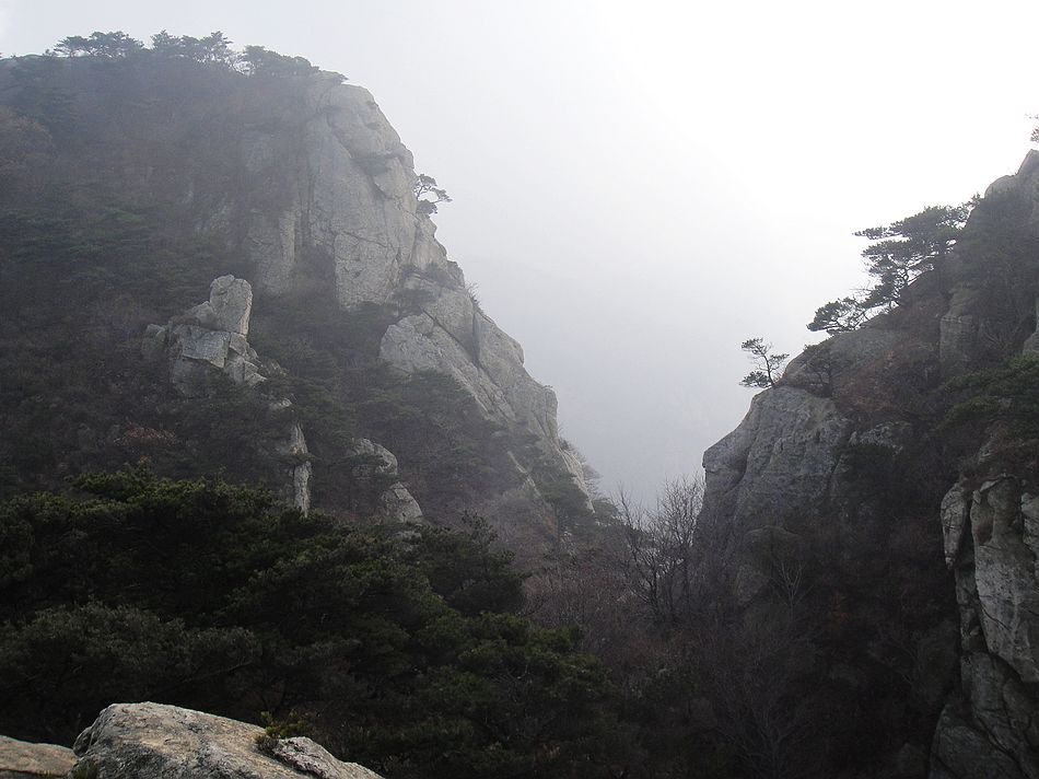 DSC07744.jpg