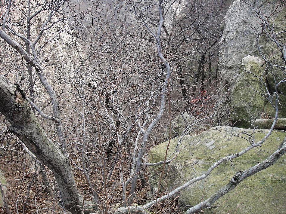 DSC07754.jpg