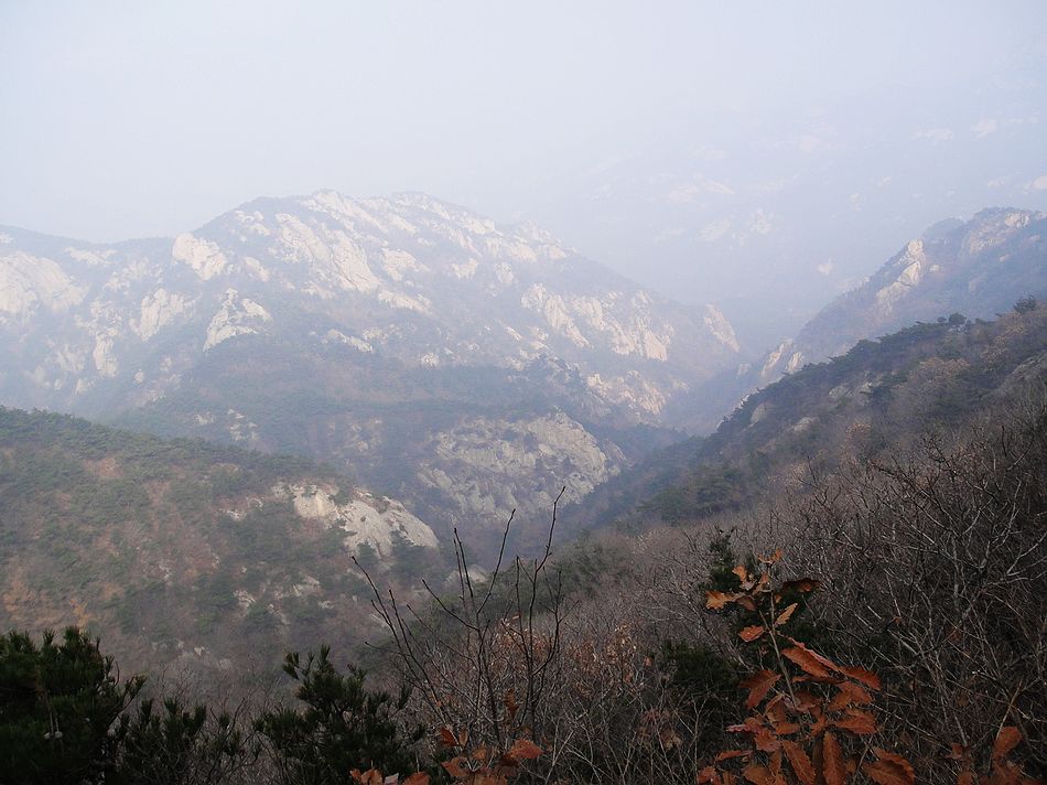 DSC07755.jpg