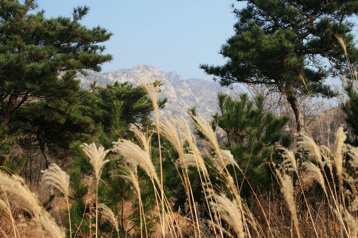nEO_IMG_牙山南线环穿 016.jpg