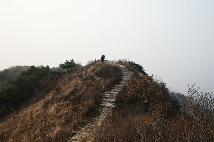 nEO_IMG_牙山南线环穿 099.jpg