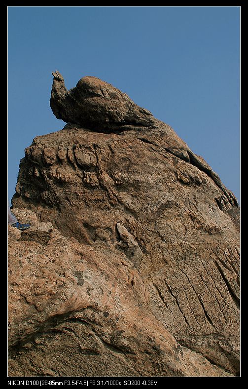 DSC_0236.JPG