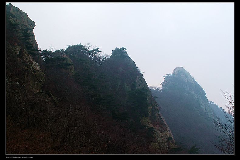 DSC_0100.JPG