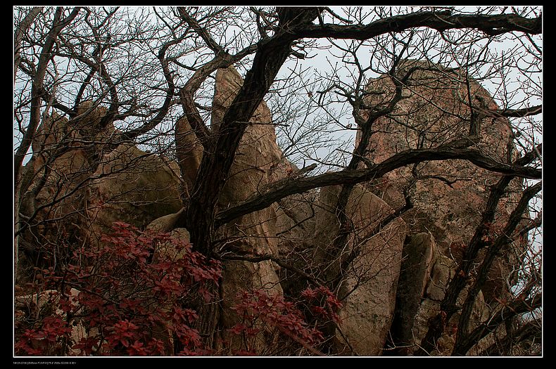 DSC_0111.JPG