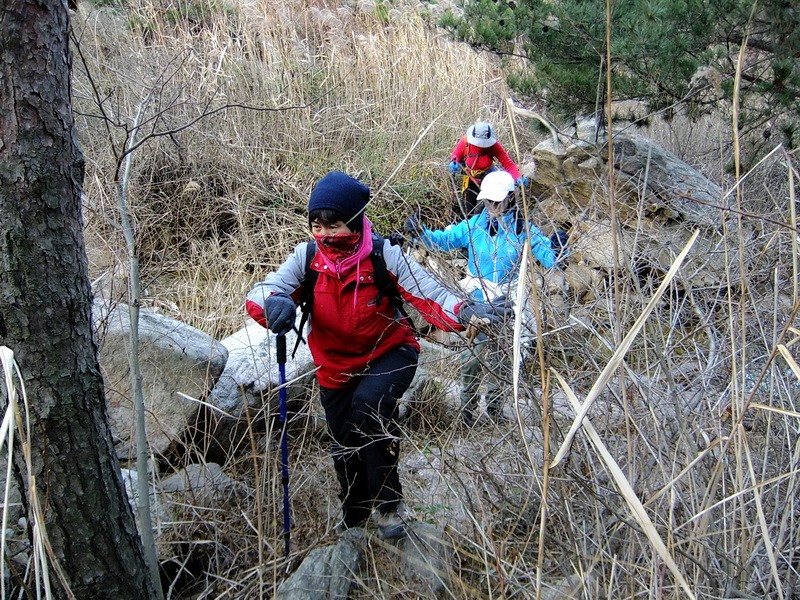 DSCF5851.jpg