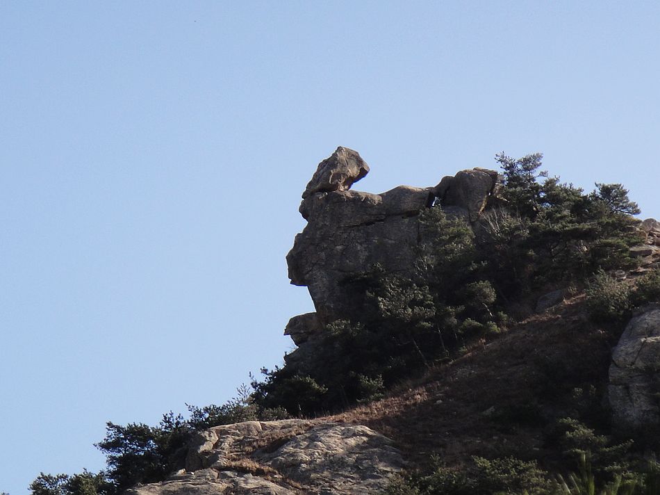 从西面看