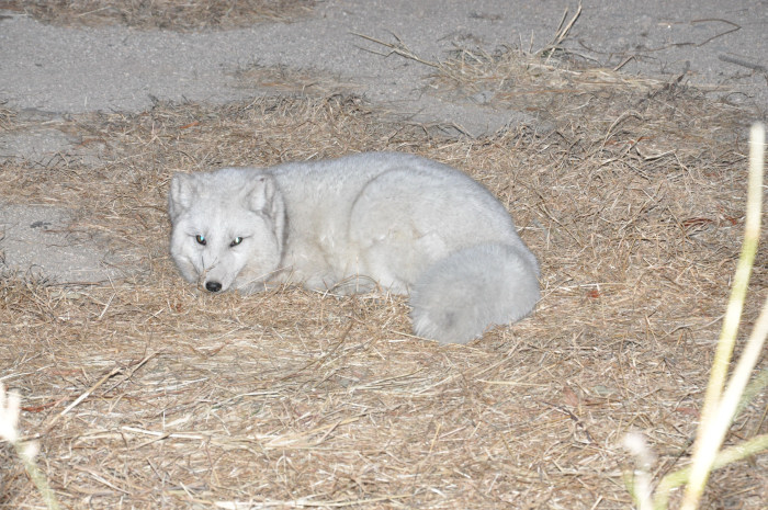 DSC_2961.JPG