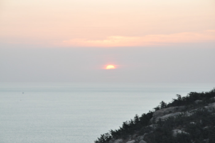 DSC_2995.JPG