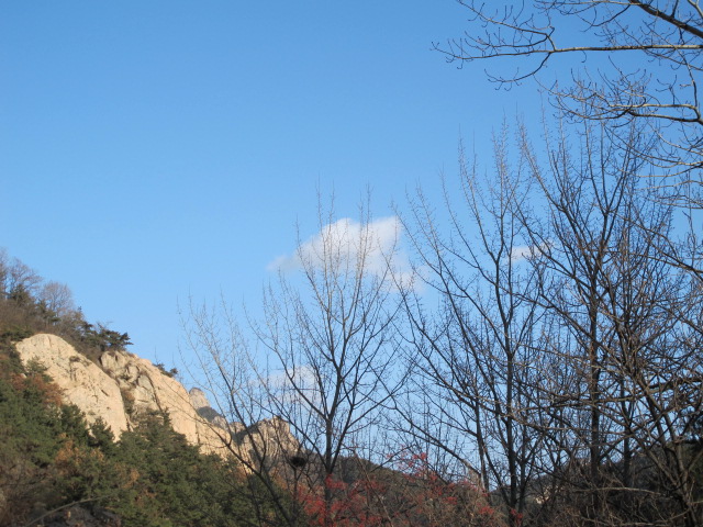 照片 155.jpg