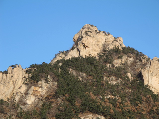 照片 156.jpg