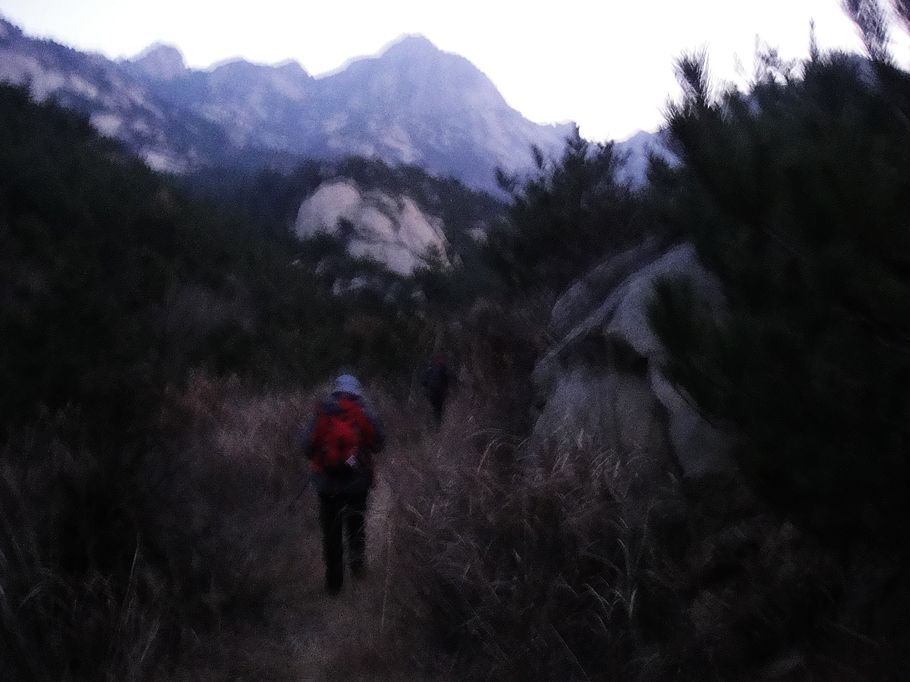 DSC08160.jpg