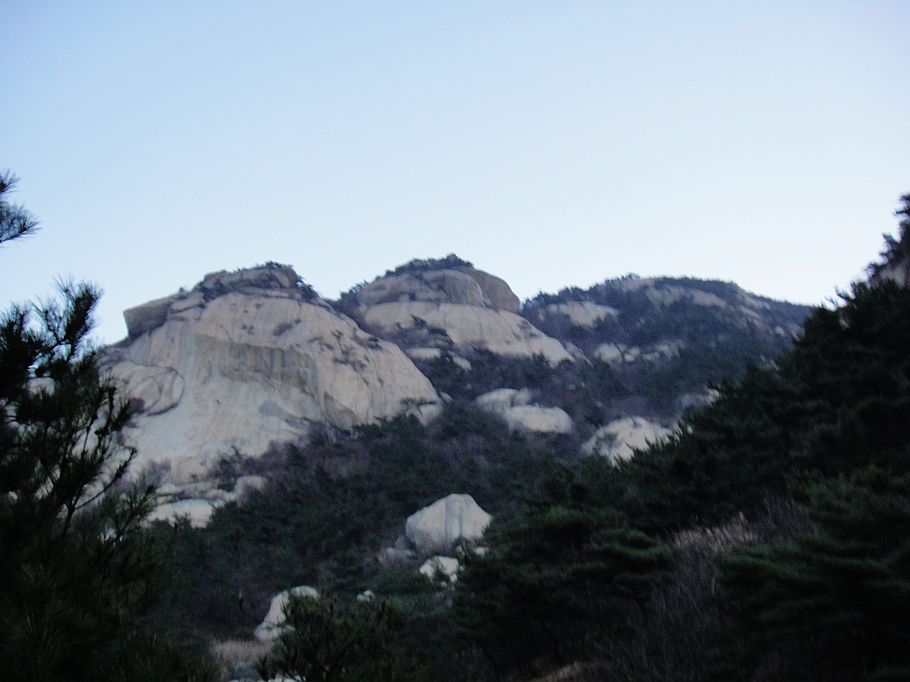 DSC08169.jpg