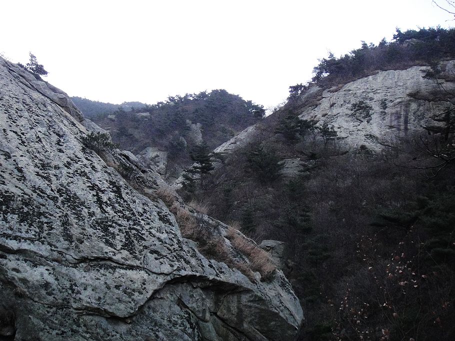 DSC08171.jpg