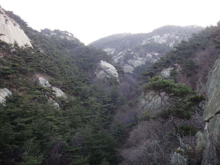 DSC08193.jpg