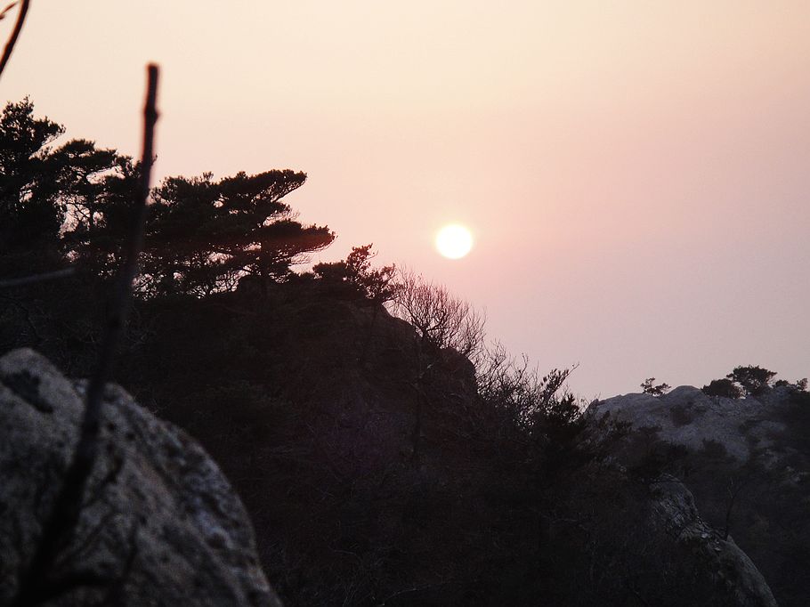 DSC08333.jpg
