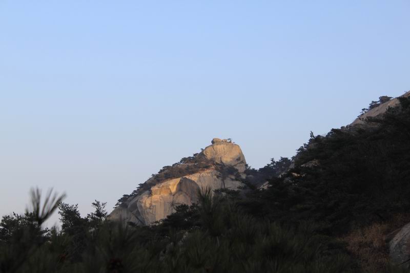 调整大小 IMG_4587.JPG