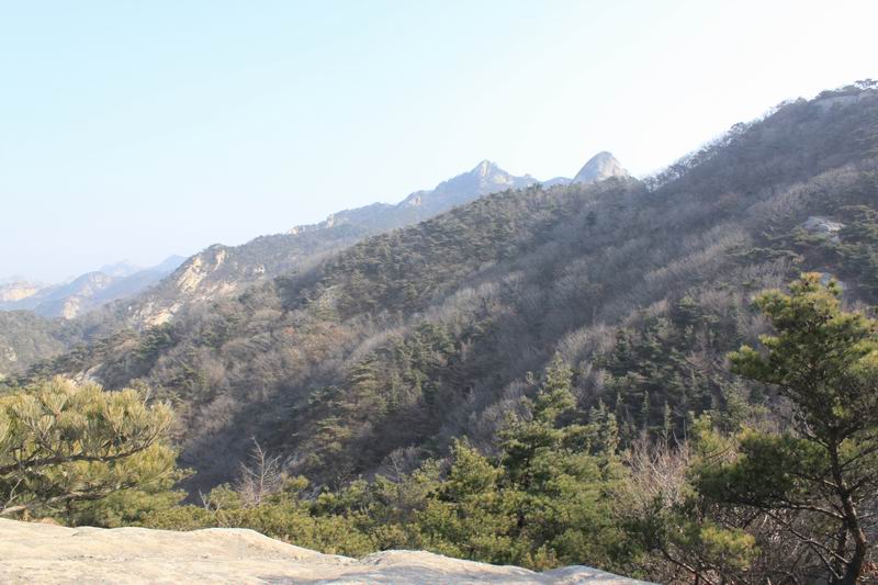 调整大小 IMG_4628.JPG