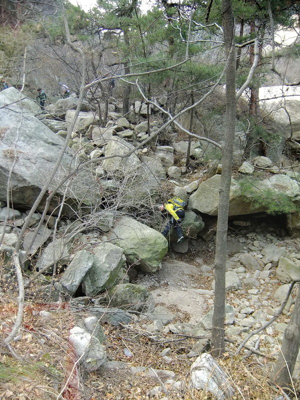 DSCF6301.jpg