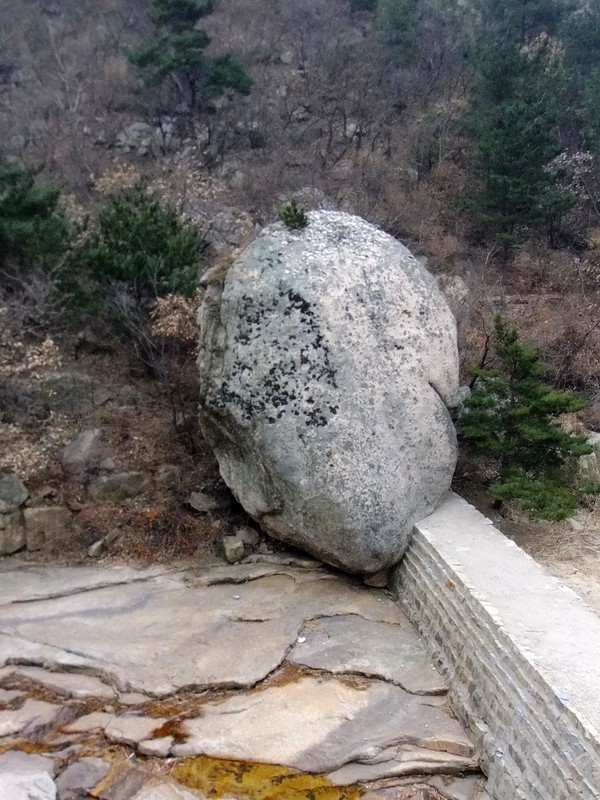 DSCF6320.jpg