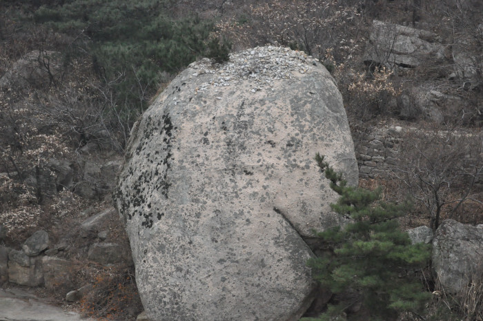 DSC_3215.JPG