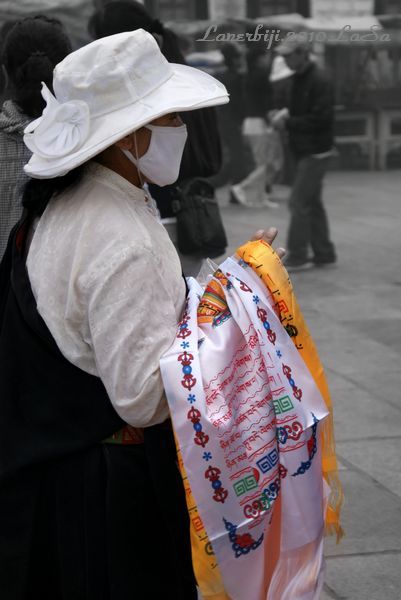 DSC09352.jpg
