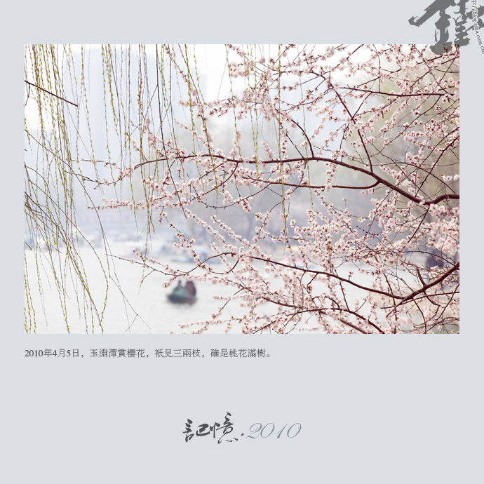 玉渊潭赏桃花.jpg