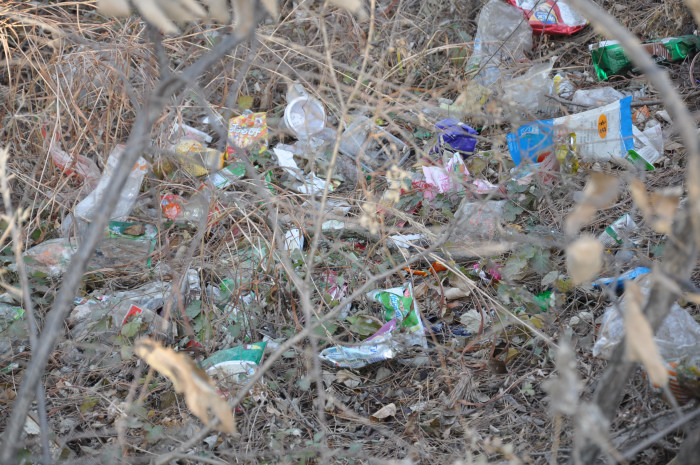DSC_3314.JPG